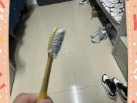 半岛体育全站-包含火箭队夏窗首日风头无两疯狂“囤货”背后有何深意？的词条