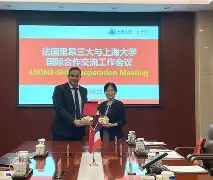 关于里昂球员磨合默契，团队合作磨光钢刃的信息